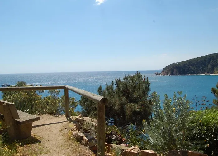 Appartement Front De Mer
