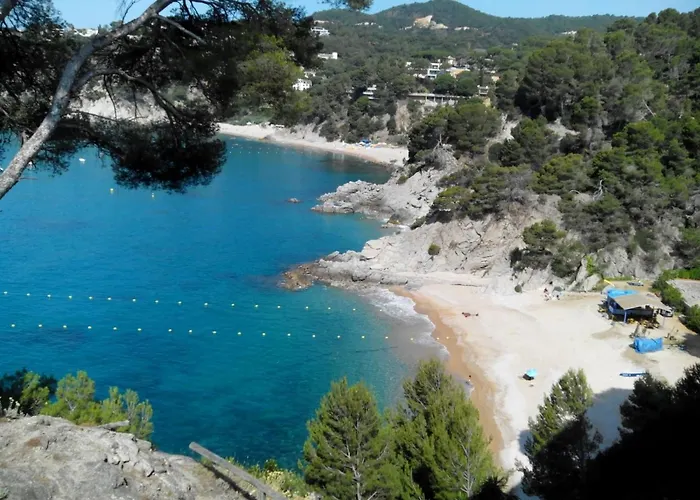 Appartement Front De Mer