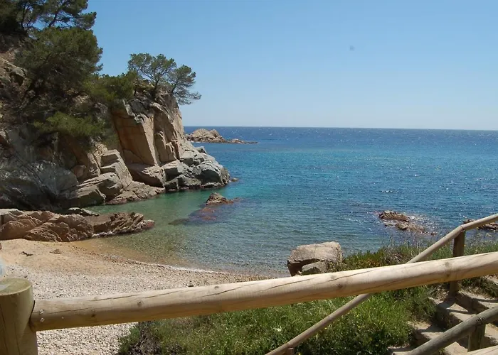 Appartement Front De Mer